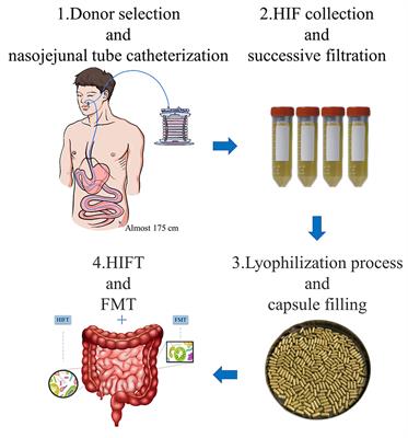 Fecal Microbiota and Human Intestinal Fluid Transplantation: Methodologies and Outlook